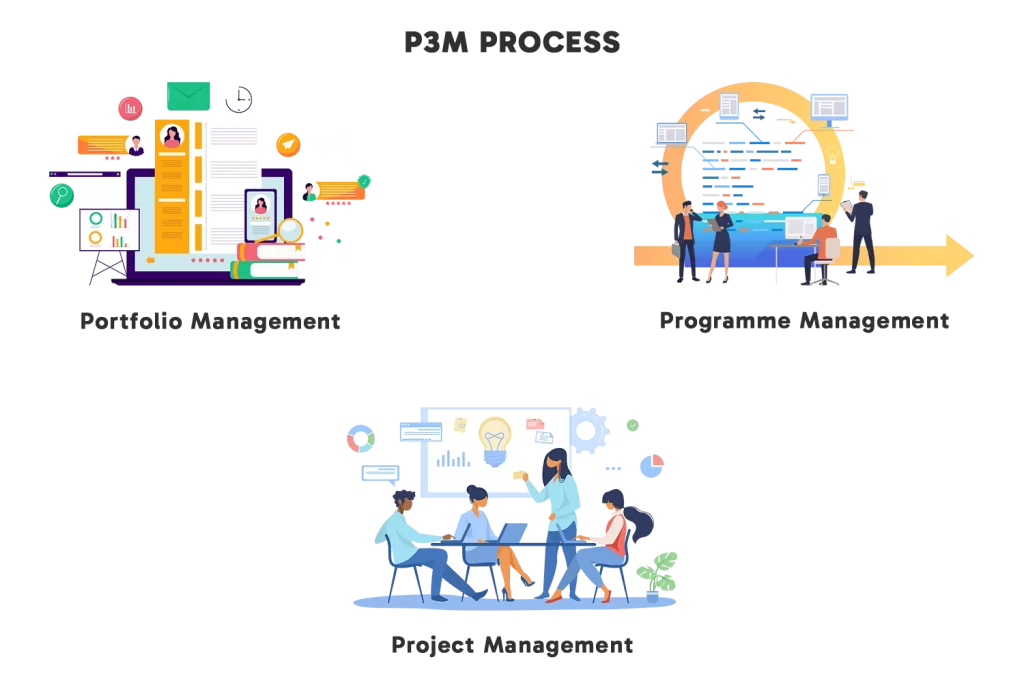 p3m process